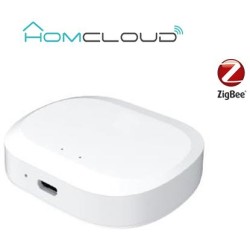 Centralina intelligente Hub Termovalvole - Zigbee+Bluetooth