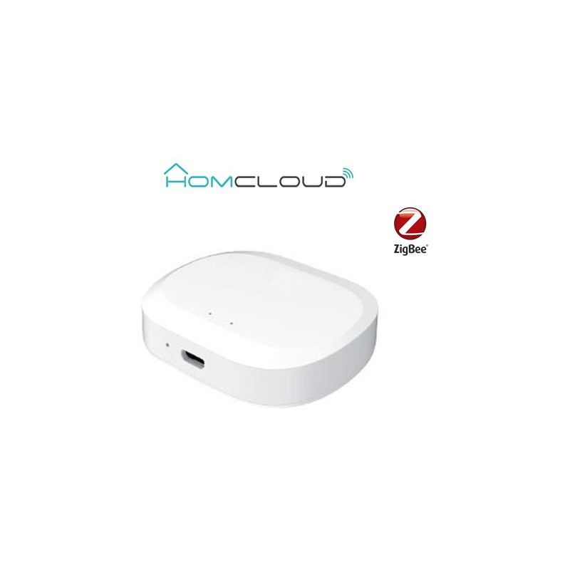 Centralina intelligente Hub Termovalvole - Zigbee+Bluetooth
