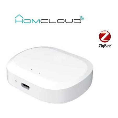 Centralina intelligente Hub Termovalvole - Zigbee+Bluetooth