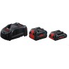 1600A0214A,Set 2 batteria 18V 4.0Ah + 5.5 Ah + Caricabatteria