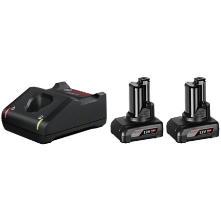 1600A01B20,Kit 2x Batterie 12V 6.0Ah + Caricabatteria