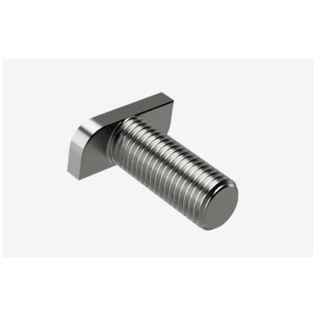Vite M10X25 Testa a Martello Inox