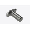 Vite M10X25 Testa a Martello Inox