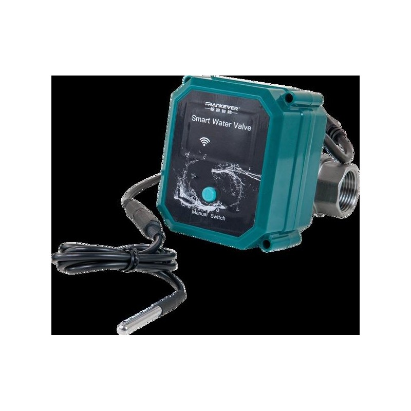 Shelly FrankEver Valvola intelligente per acqua DN25