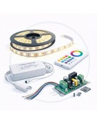 Strisce e Elettronica